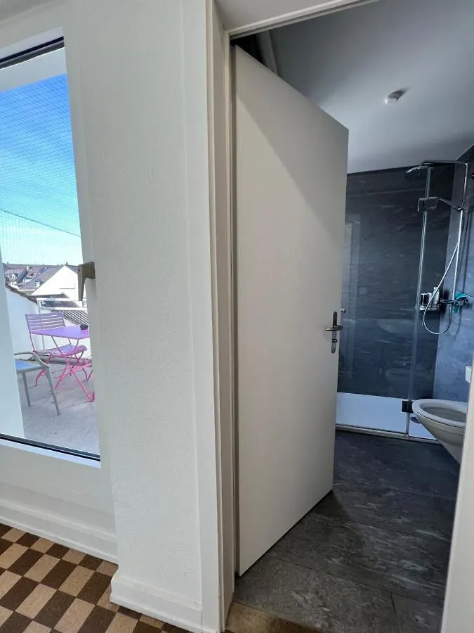 City Center Rooftop Studio With Oldtown View Basel